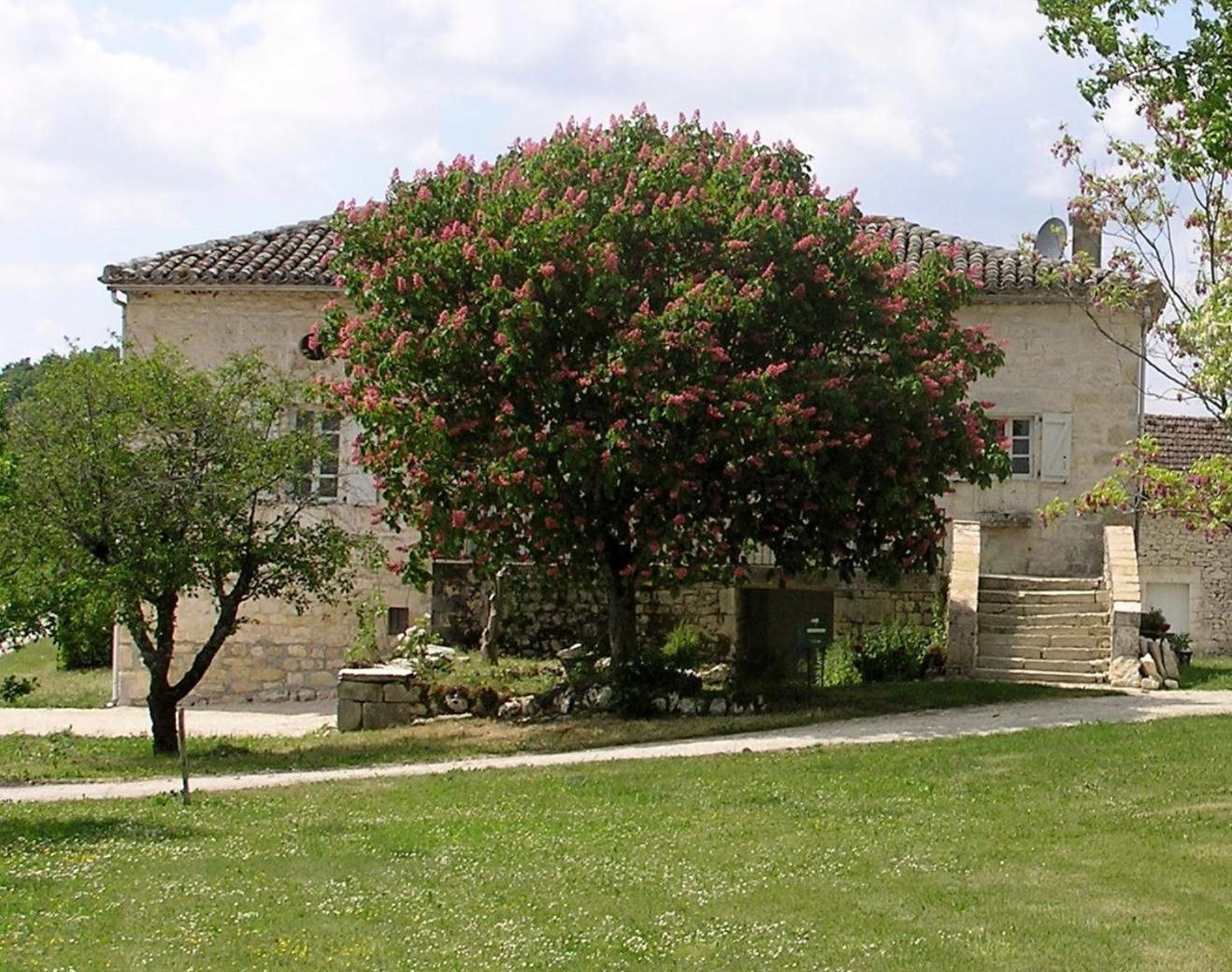 Domaine De L'Isle Basse Fontanes (Lot) Exterior foto